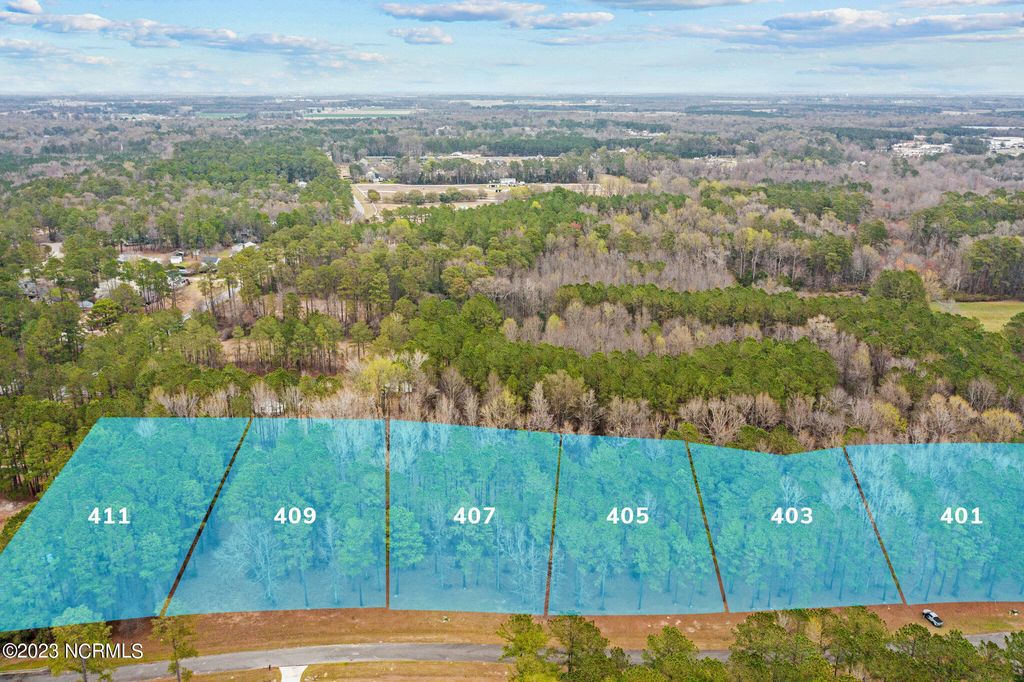 Photo of 407 Anna Lane, Snow Hill, NC 28580 (MLS # 100374428)