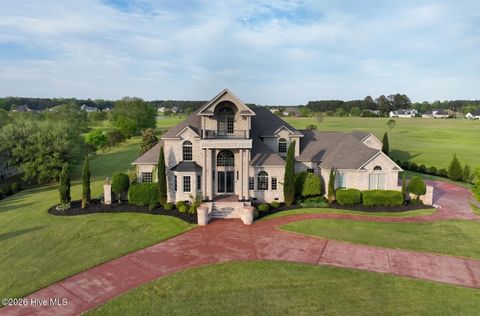 Photo of 1223 Autumn Lakes Drive, Grimesland, NC 27837 (MLS # 100576823)