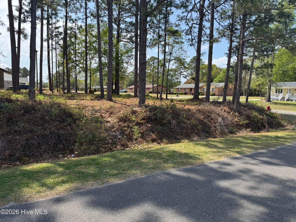 Photo of 140 Hargrove Drive, Wilmington, NC 28411 (MLS # 100564287)