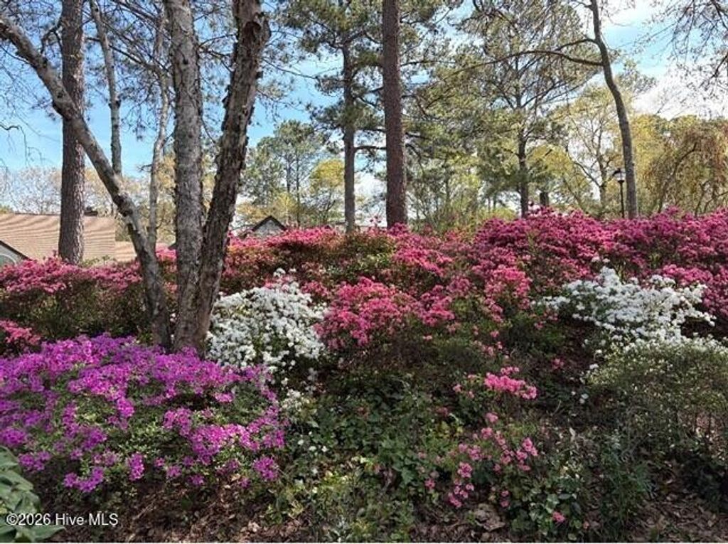 Photo of 2111 Jumpin Run Drive, Wilmington, NC 28403 (MLS # 100569020)