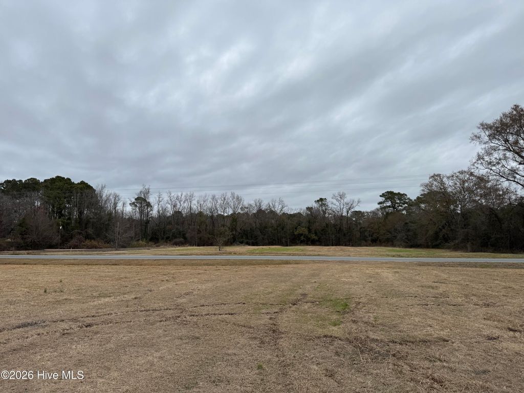 Photo of 100 S Nc 50 Hwy Highway S, Beulaville, NC 28518 (MLS # 100554326)