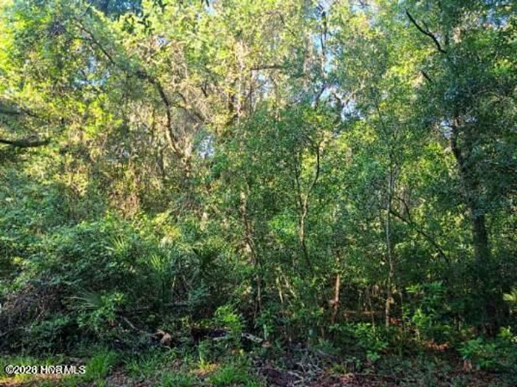 Photo of 54 Fort Holmes Trail, Bald Head Island, NC 28461 (MLS # 100565092)