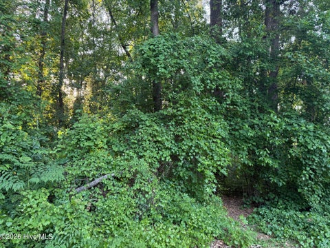 Vacant Land For Sale - LOT 6 Boyd Park Drive<br/> Pitt County, Greenville, NC 27858