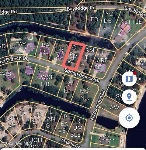 Vacant Land For Sale - 189 Spring Branch Drive<br/> Bladen County, Harrells, NC 28444