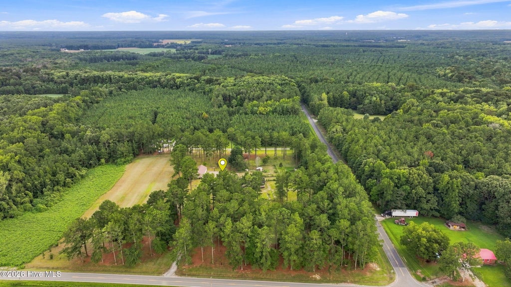 Photo of 629 Liverman Mill Road, Ahoskie, NC 27910 (MLS # 100602035)