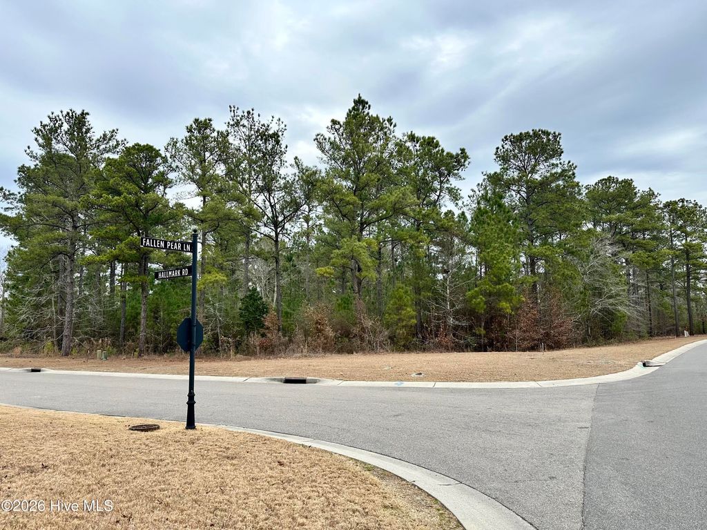 Photo of 3775 Hallmark Road NE, Leland, NC 28451 (MLS # 100551046)