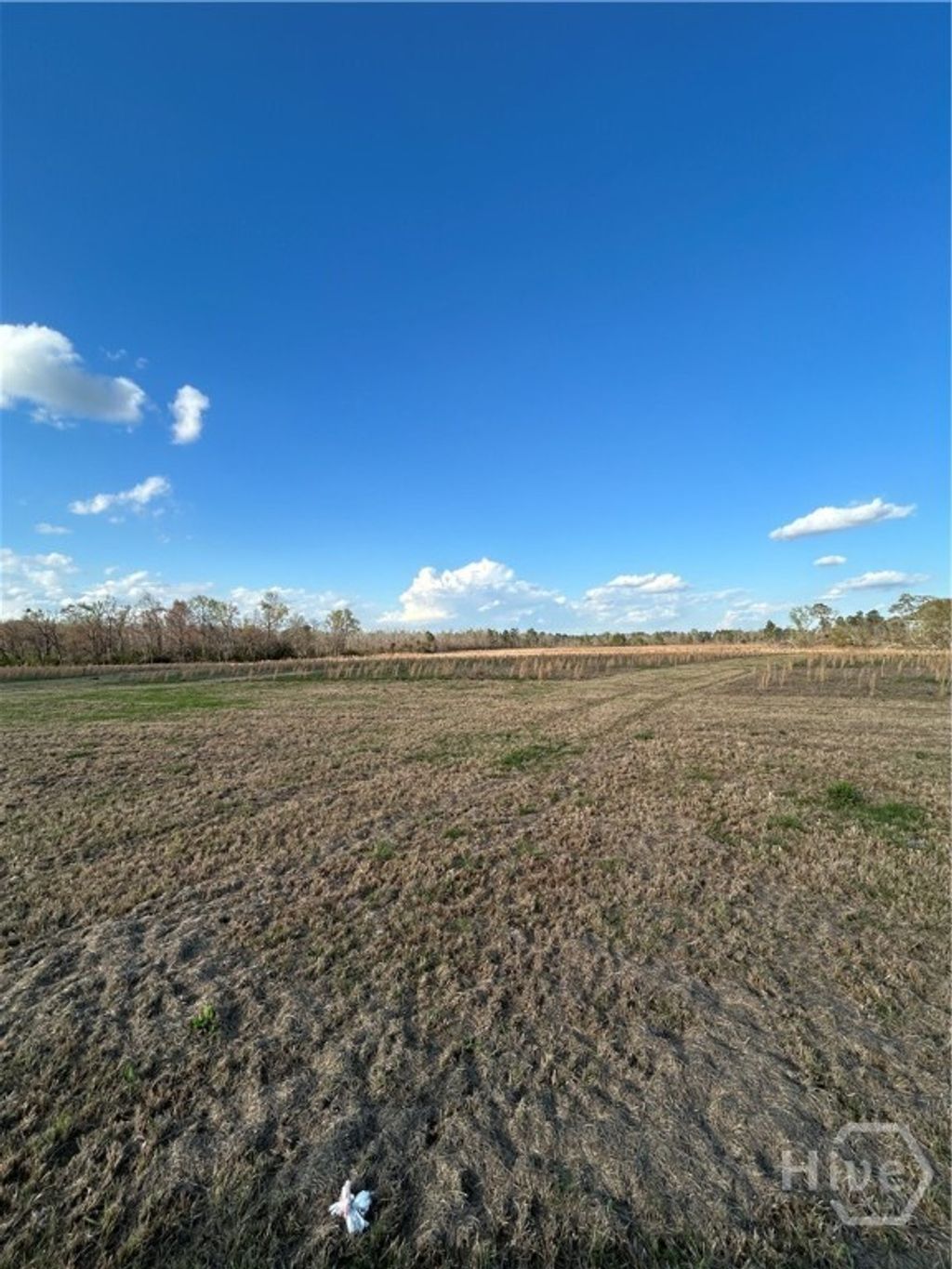 Photo of 0 Scott's Store Road, Millen, GA 30442 (MLS # SA351260)