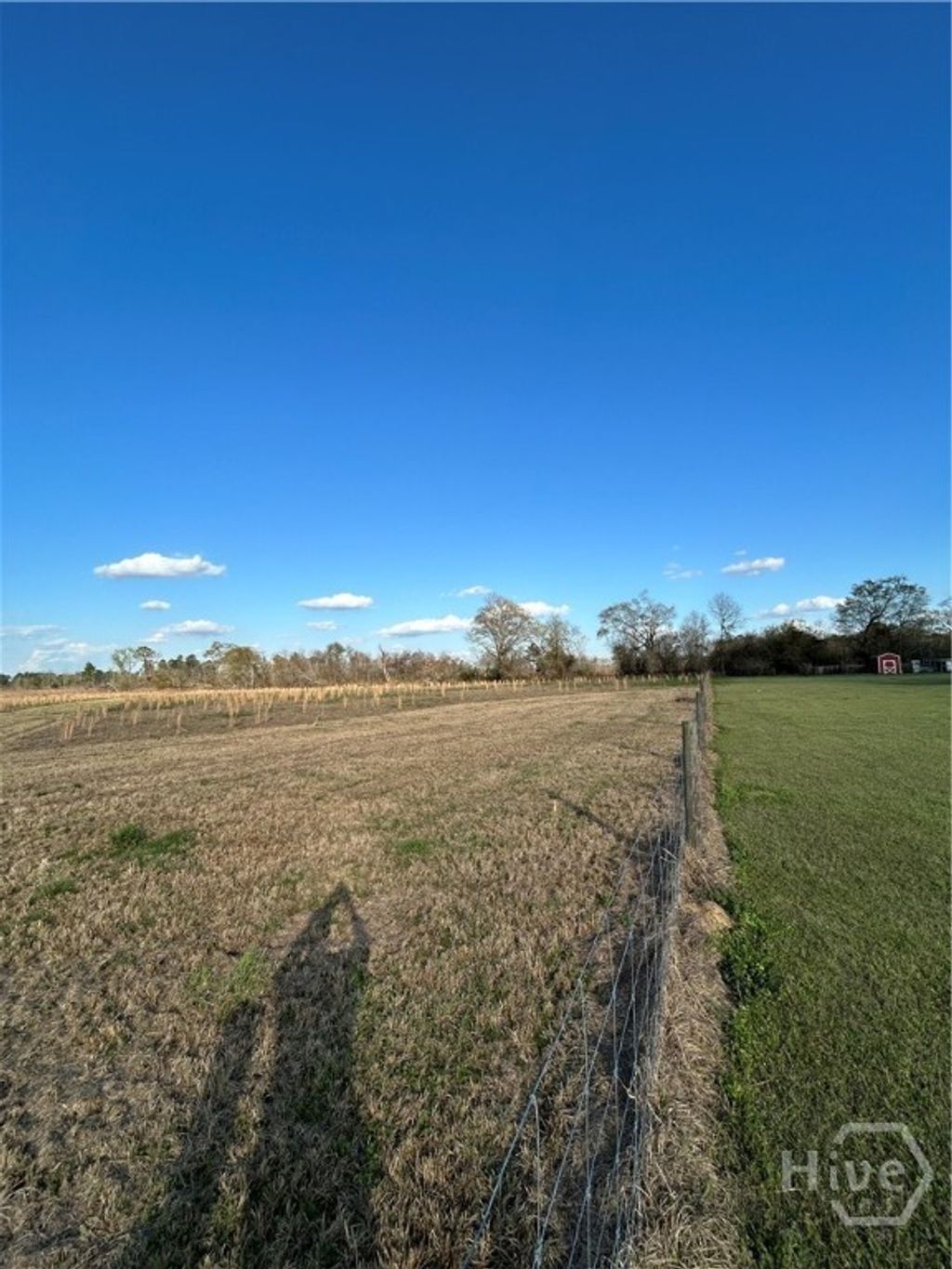 Photo of 0 Scott's Store Road, Millen, GA 30442 (MLS # SA351260)