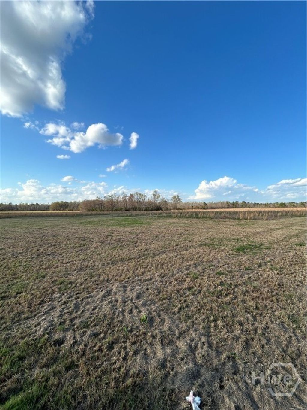 Photo of 0 Scott's Store Road, Millen, GA 30442 (MLS # SA351260)