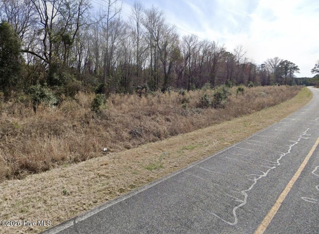 Photo of 777 Bull Tail Road, Wallace, NC 28466 (MLS # 100589073)