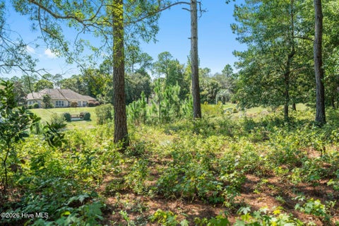Tiny photo for 2638 Jessica Lane SW, Supply, NC 28462 (MLS # 100601799)