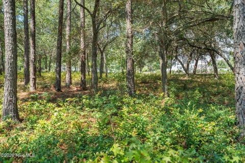 Tiny photo for 2638 Jessica Lane SW, Supply, NC 28462 (MLS # 100601799)