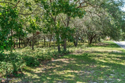 Tiny photo for 2638 Jessica Lane SW, Supply, NC 28462 (MLS # 100601799)