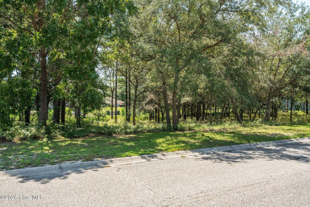 Photo of 2638 Jessica Lane SW, Supply, NC 28462 (MLS # 100601799)