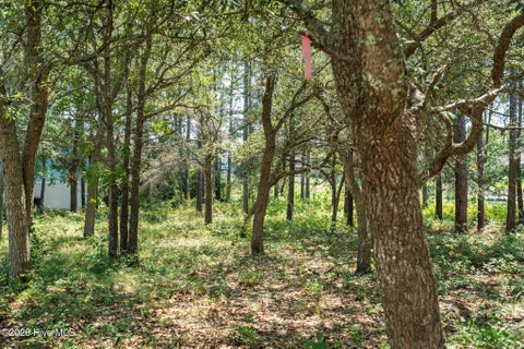 Tiny photo for 2638 Jessica Lane SW, Supply, NC 28462 (MLS # 100601799)