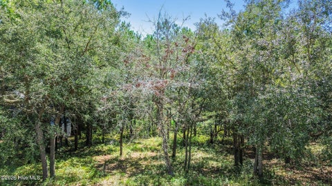 Tiny photo for 2638 Jessica Lane SW, Supply, NC 28462 (MLS # 100601799)