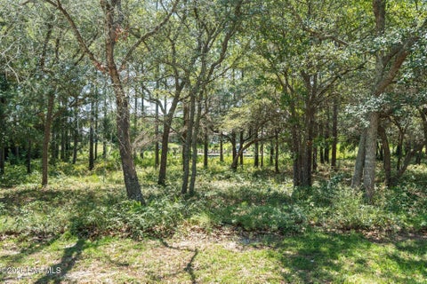 Tiny photo for 2638 Jessica Lane SW, Supply, NC 28462 (MLS # 100601799)