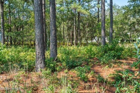 Tiny photo for 2638 Jessica Lane SW, Supply, NC 28462 (MLS # 100601799)