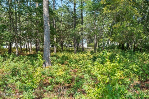 Tiny photo for 2638 Jessica Lane SW, Supply, NC 28462 (MLS # 100601799)