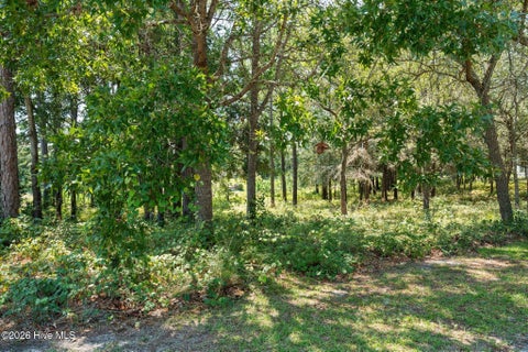 Tiny photo for 2638 Jessica Lane SW, Supply, NC 28462 (MLS # 100601799)