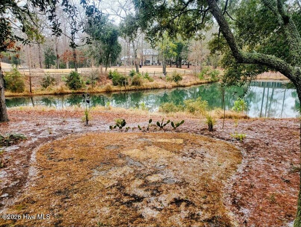 Photo of 85 Plantation Passage Drive SE, Bolivia, NC 28422 (MLS # 100572507)