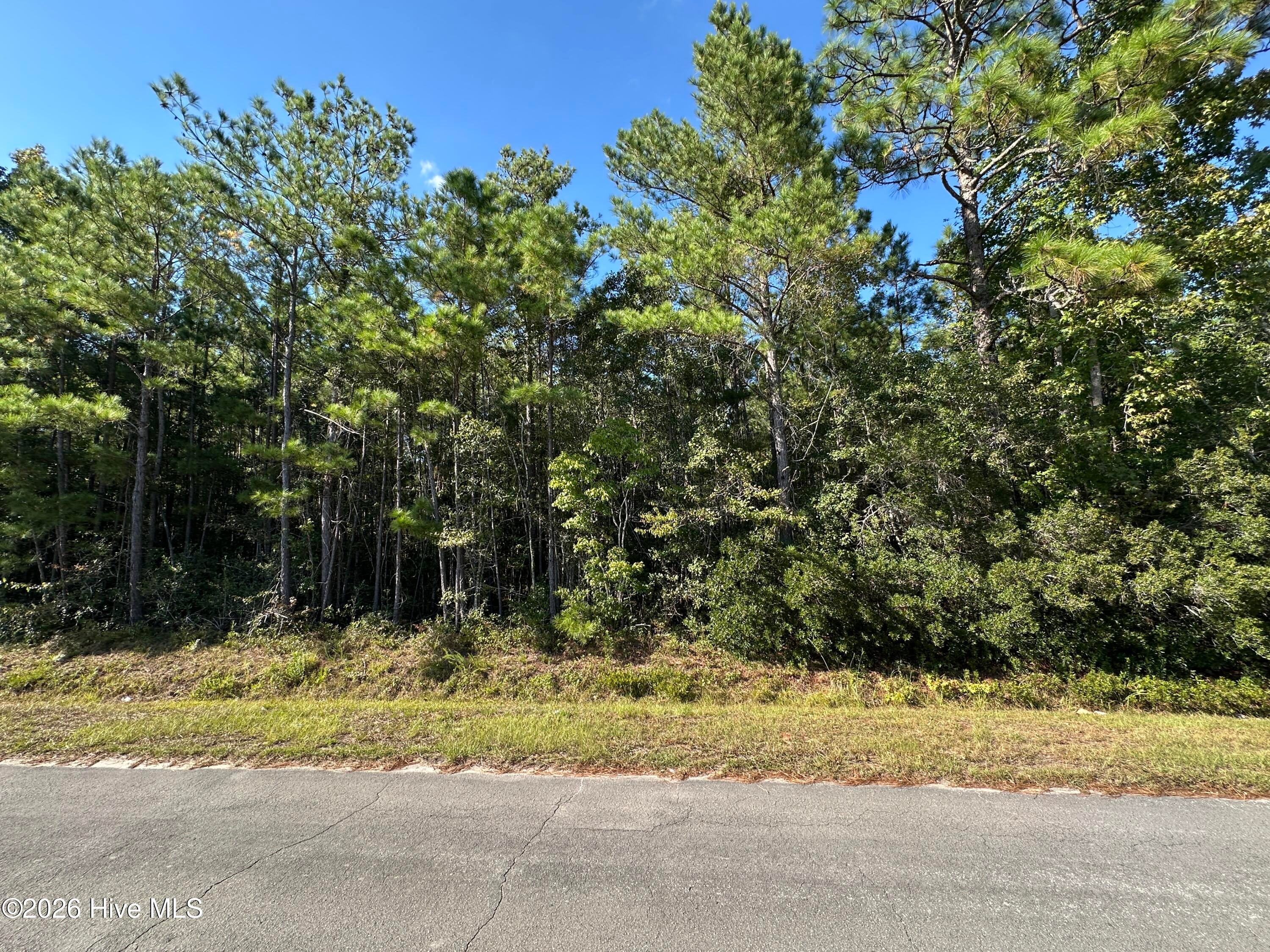 000 Willis Farm Tract-2 Road