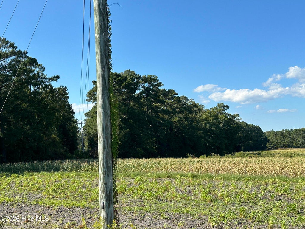Photo of 000 Willis Farm Tract-2 Road, Newport, NC 28570 (MLS # 100606850)