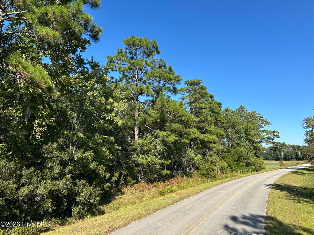 Photo of 000 Willis Farm Tract-2 Road, Newport, NC 28570 (MLS # 100606850)