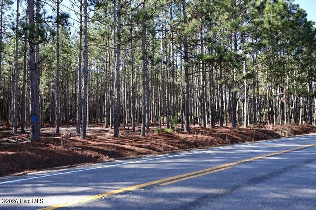 Photo of Tbd Nc Hwy 130 Road, Fairmont, NC 28340 (MLS # 100551138)