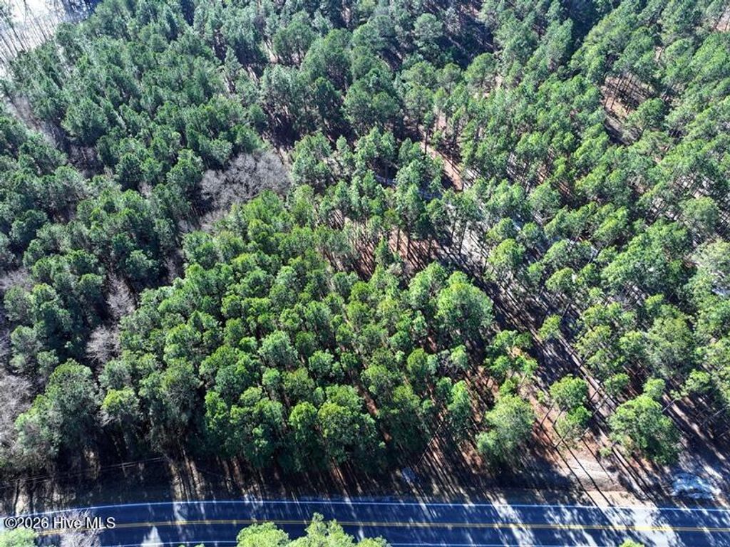 Photo of Tbd Nc Hwy 130 Road, Fairmont, NC 28340 (MLS # 100551138)