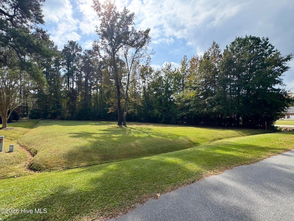 Photo of 325 Cape Fear Drive, Whiteville, NC 28472 (MLS # 100613237)