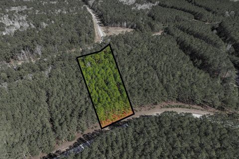 Vacant Land For Sale - 1277 Rogers Road<br/> Lincoln County, Tignall, GA 30668