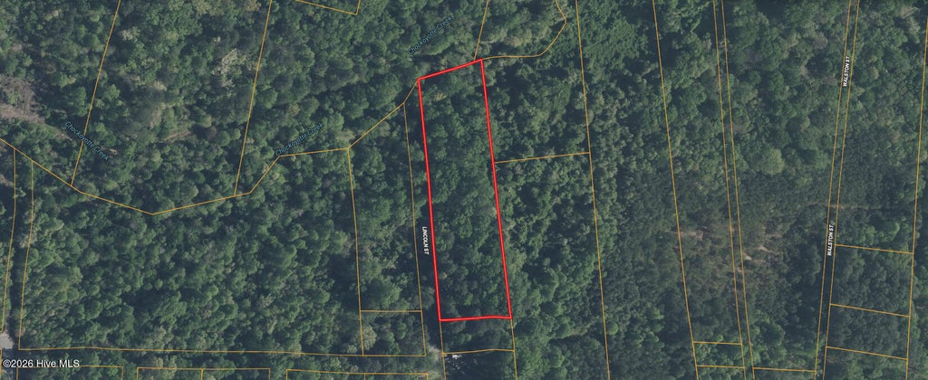 Photo of 0 Lincoln Street, Roanoke Rapids, NC 27870 (MLS # 100611536)