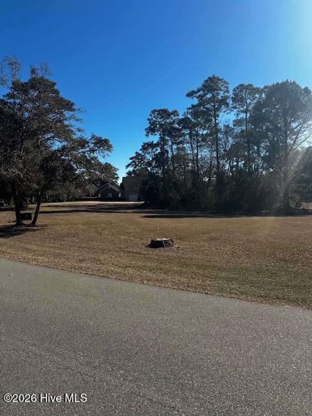 Photo of 83 Oyster Shoals Court SW, Supply, NC 28462 (MLS # 100550604)