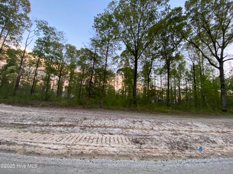 Vacant Land For Sale - LOT 28 Plover Way<br/> New Bern, NC 28562
