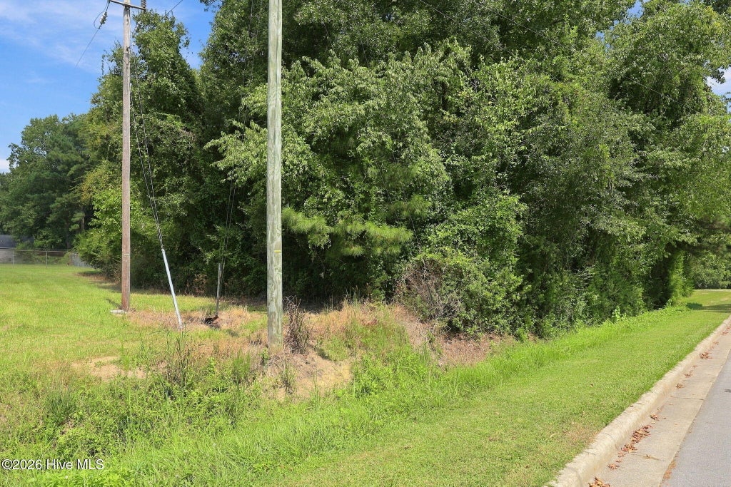 Photo of 252 Sylvester Street, Richlands, NC 28574 (MLS # 100603739)