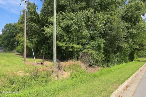 Tiny photo for 252 Sylvester Street, Richlands, NC 28574 (MLS # 100603739)
