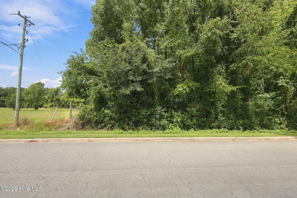 Photo of 252 Sylvester Street, Richlands, NC 28574 (MLS # 100603739)