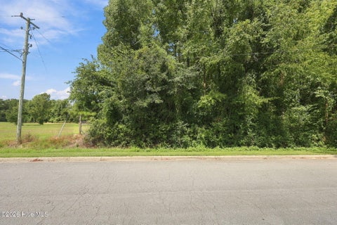 Tiny photo for 252 Sylvester Street, Richlands, NC 28574 (MLS # 100603739)