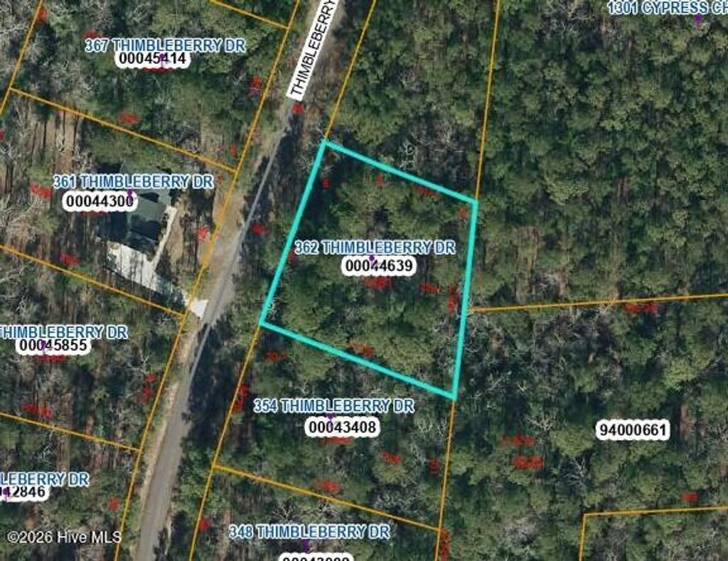 Photo of 362 Thimbleberry Drive, Vass, NC 28394 (MLS # 100564711)