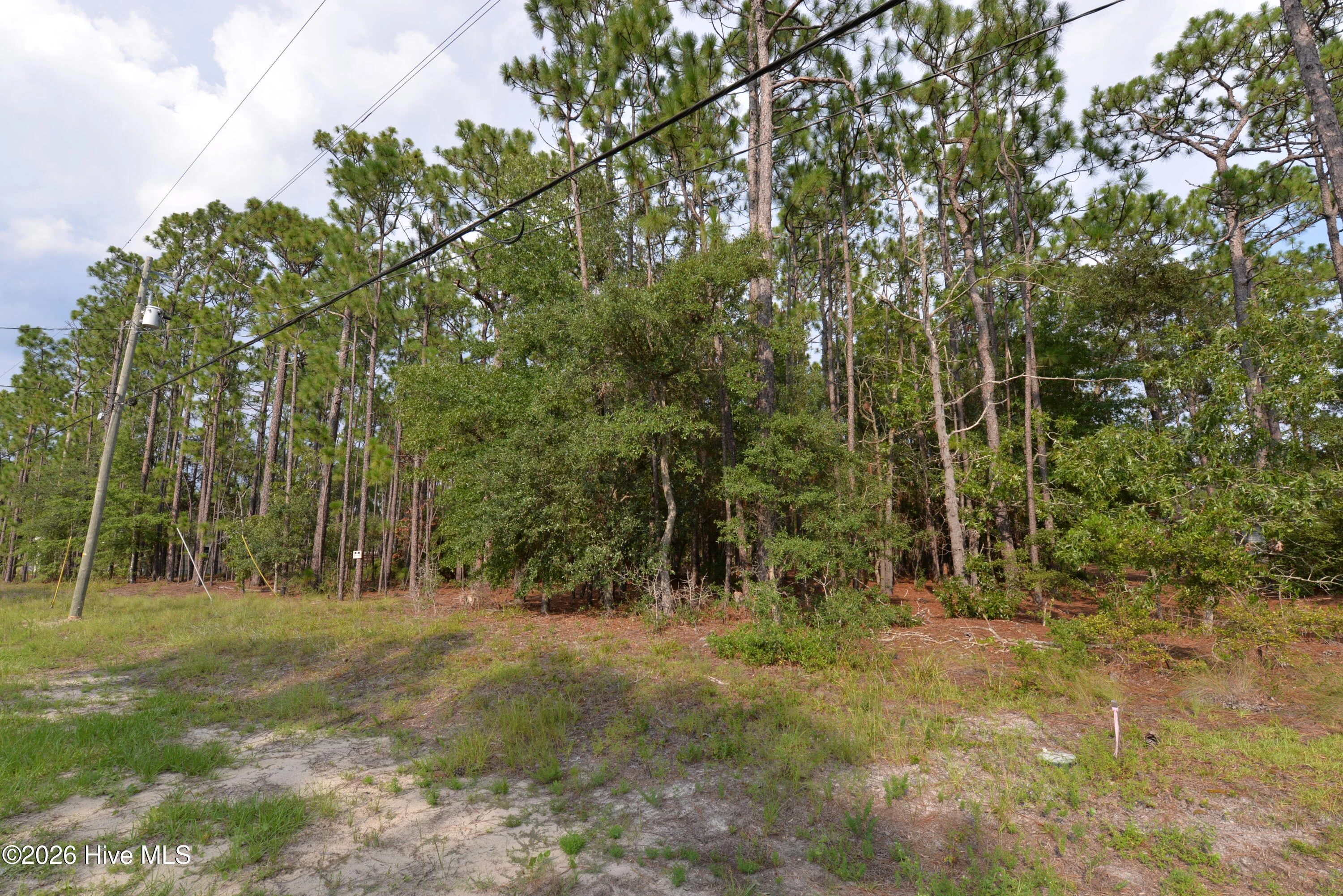 881 Eden Drive