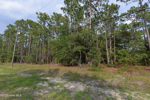 Tiny photo for 881 Eden Drive, Southport, NC 28461 (MLS # 100598949)