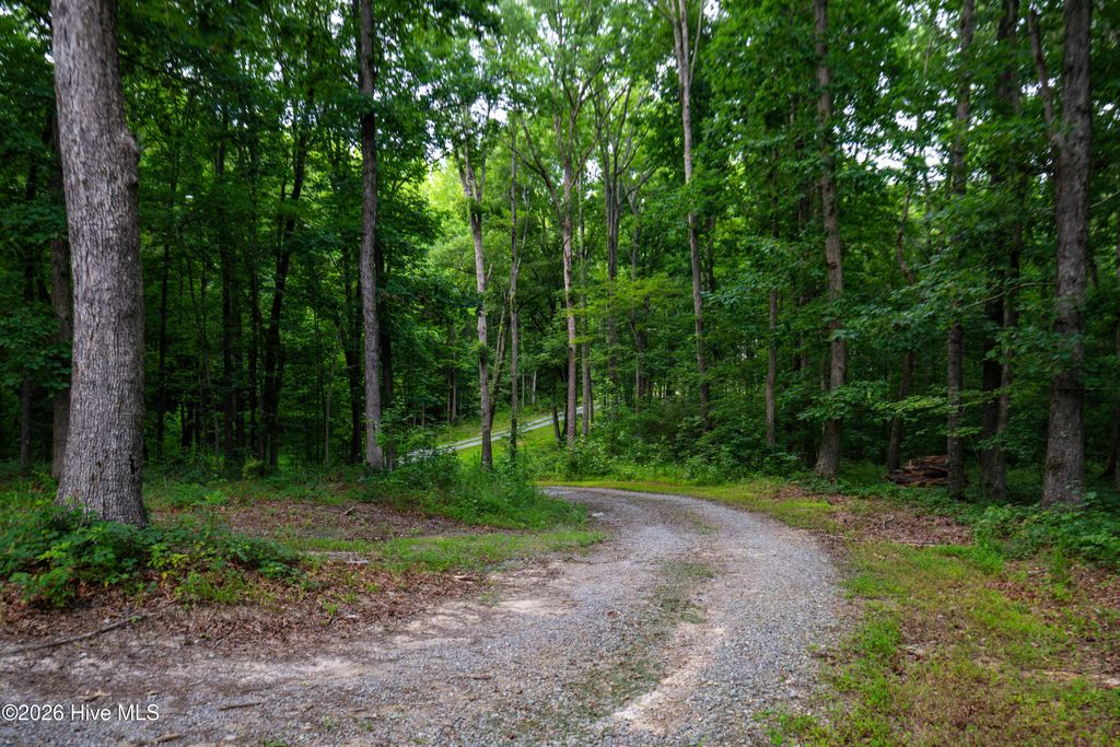Photo of 698 Maple Springs Lane, Bear Creek, NC 27207 (MLS # 100565424)