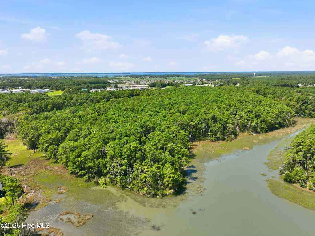 Photo of 1980 Live Oak Street, Beaufort, NC 28516 (MLS # 100601885)