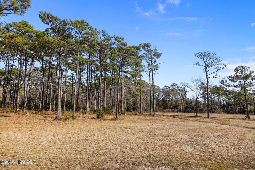 Photo of 183 Deep Bay Drive, Newport, NC 28570 (MLS # 100550566)