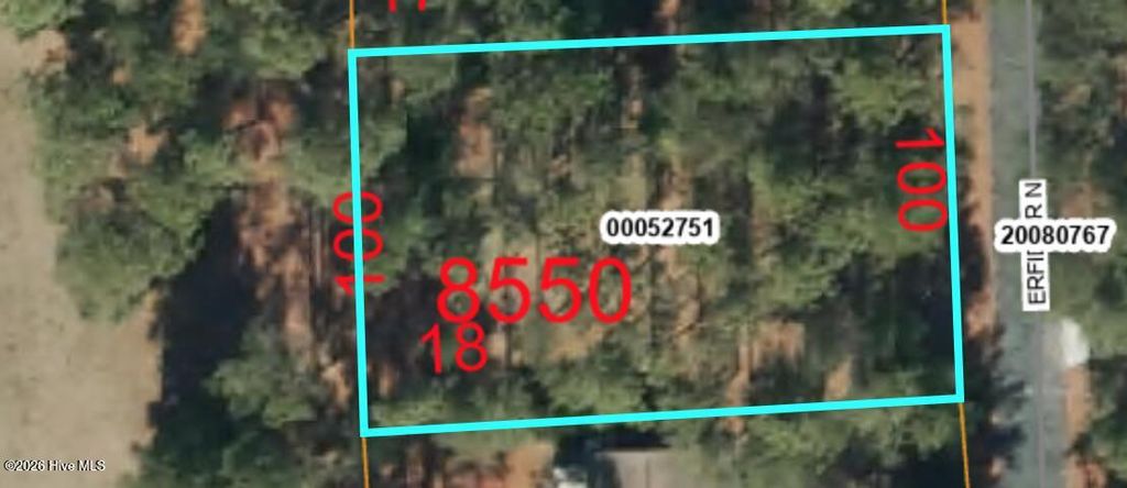 Photo of 195 Erfie Drive N, Pinebluff, NC 28373 (MLS # 100553462)