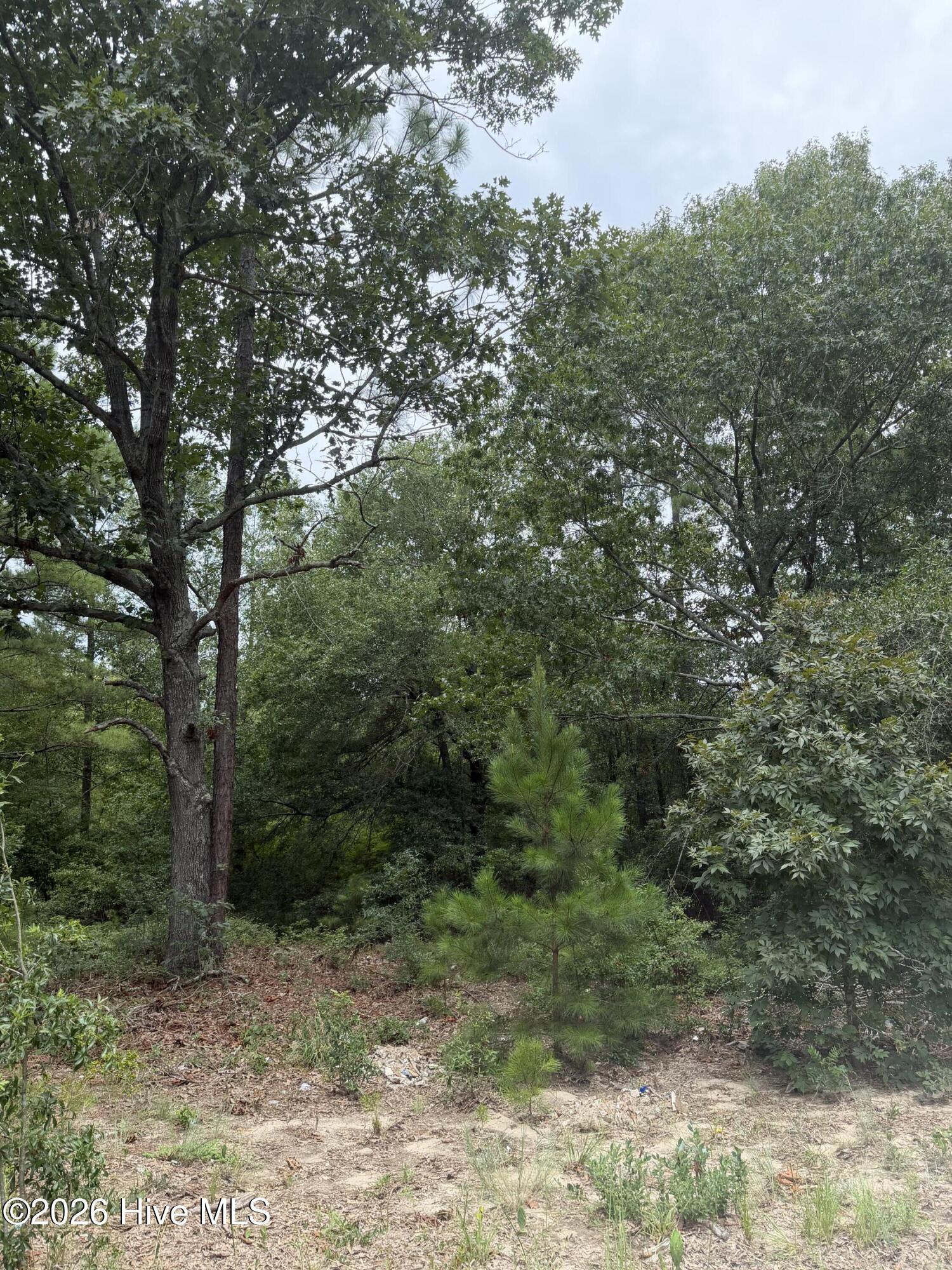 406 Douglas Drive