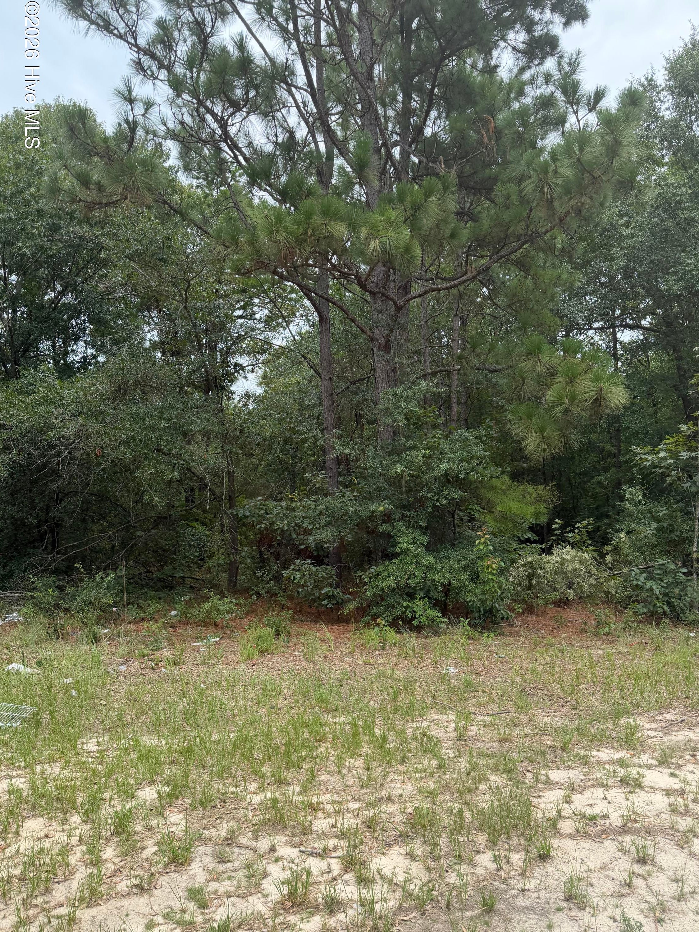 406 Douglas Drive, Beech Island, SC, 29842