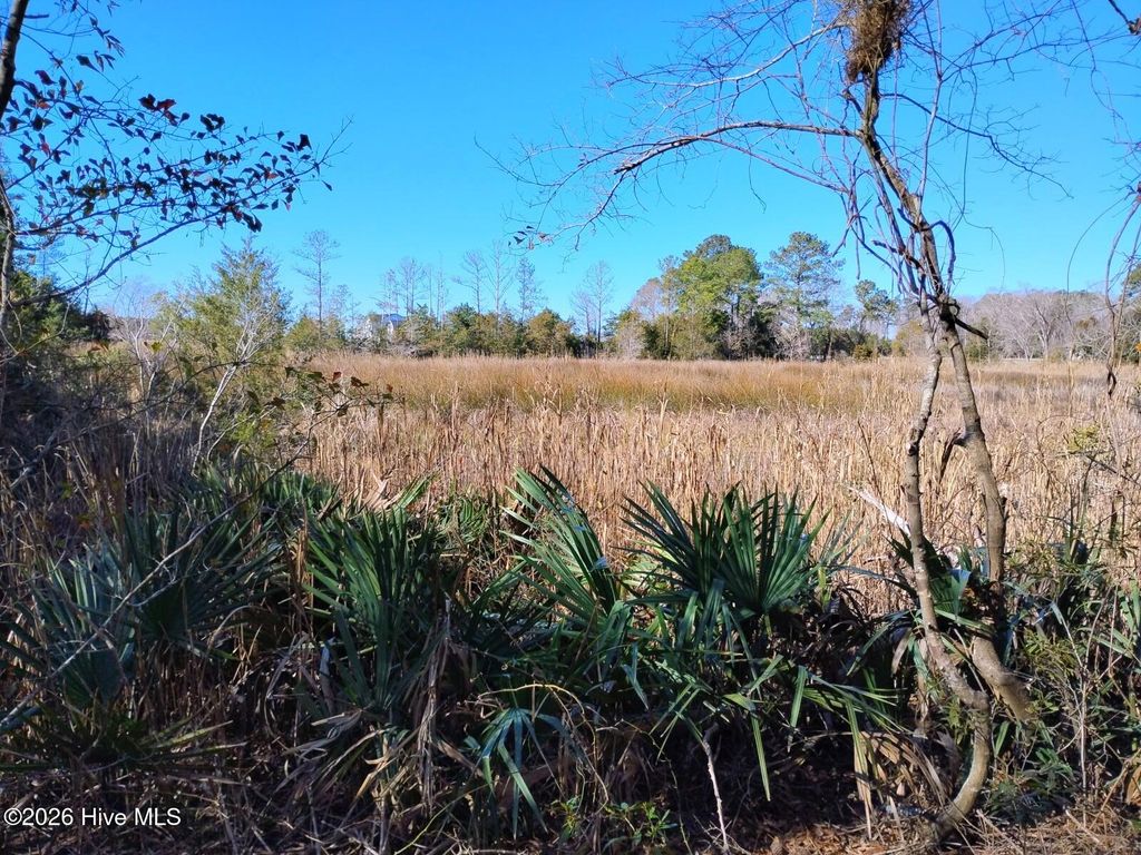 Photo of 40 Alligator Creek Road, Merritt, NC 28556 (MLS # 100548833)