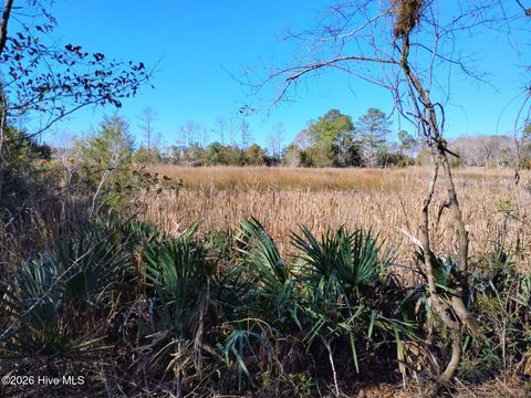 Vacant Land For Sale - 40 Alligator Creek Road<br/> Merritt, NC 28556